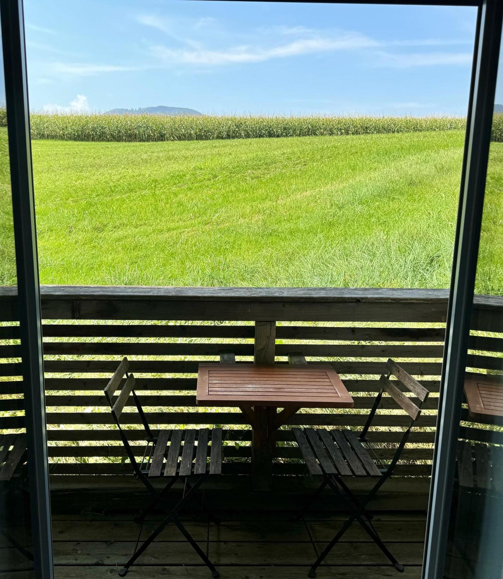 Apartmenthotel 'S Mitterndorf Траункирхен Екстериор снимка